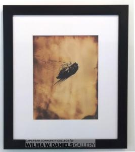 "June Bug" by Angela Wells. East Carolina University.
